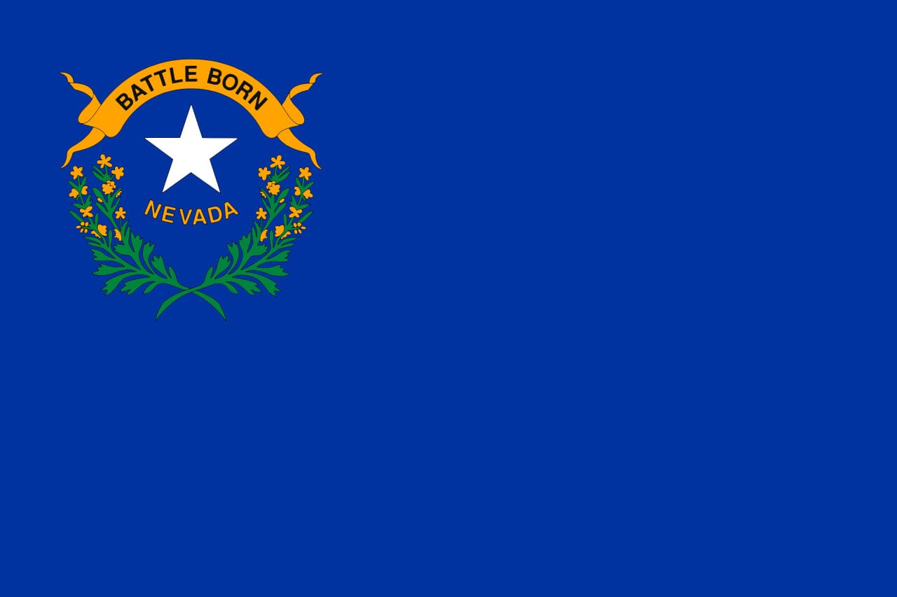 Indoor 9' State Flag Kit - Liberty Flag & Specialty