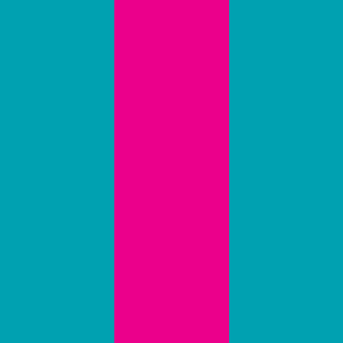 8' x 3' Tall Color Flags - Liberty Flag & Specialty