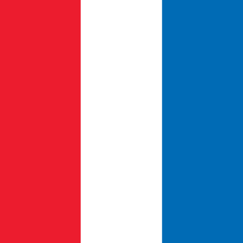 8' x 3' Tall Color Flags - Liberty Flag & Specialty