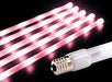 Icetube Lights - Liberty Flag & Specialty