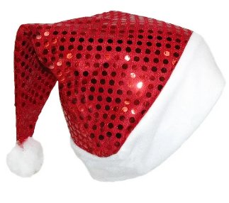 Shiny Santa Hat - Liberty Flag & Specialty