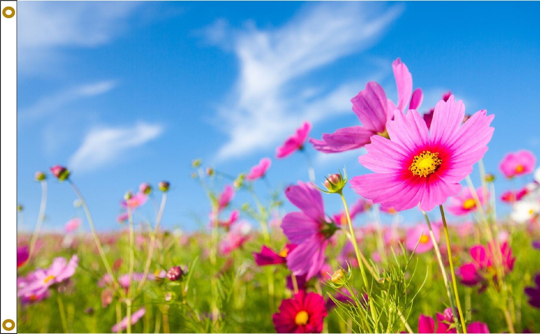 Spring Flowers - Liberty Flag & Specialty