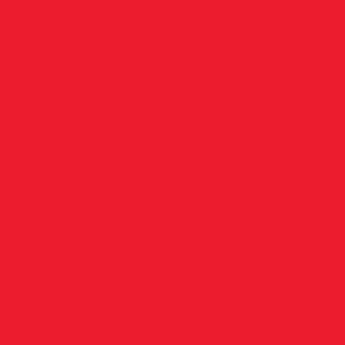 Standard Pennants - Liberty Flag & Specialty
