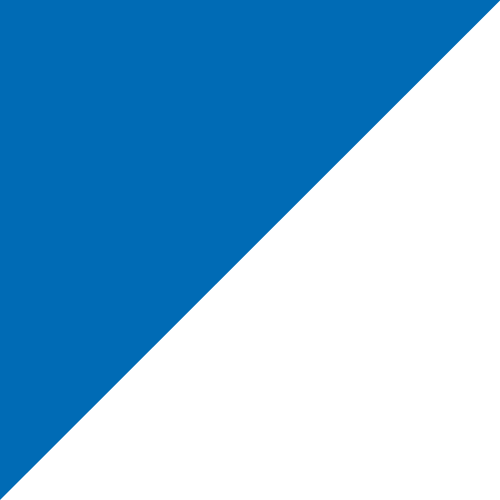 Standard Pennants - Liberty Flag & Specialty