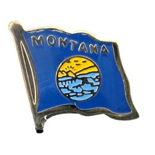 State and US Territory Flag Lapel Pins - Liberty Flag & Specialty