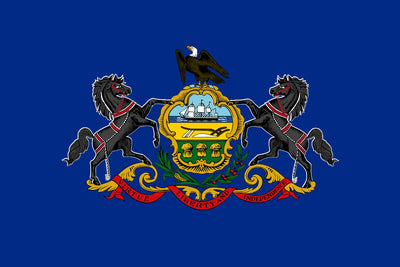 Indoor 9' State Flag Kit - Liberty Flag & Specialty