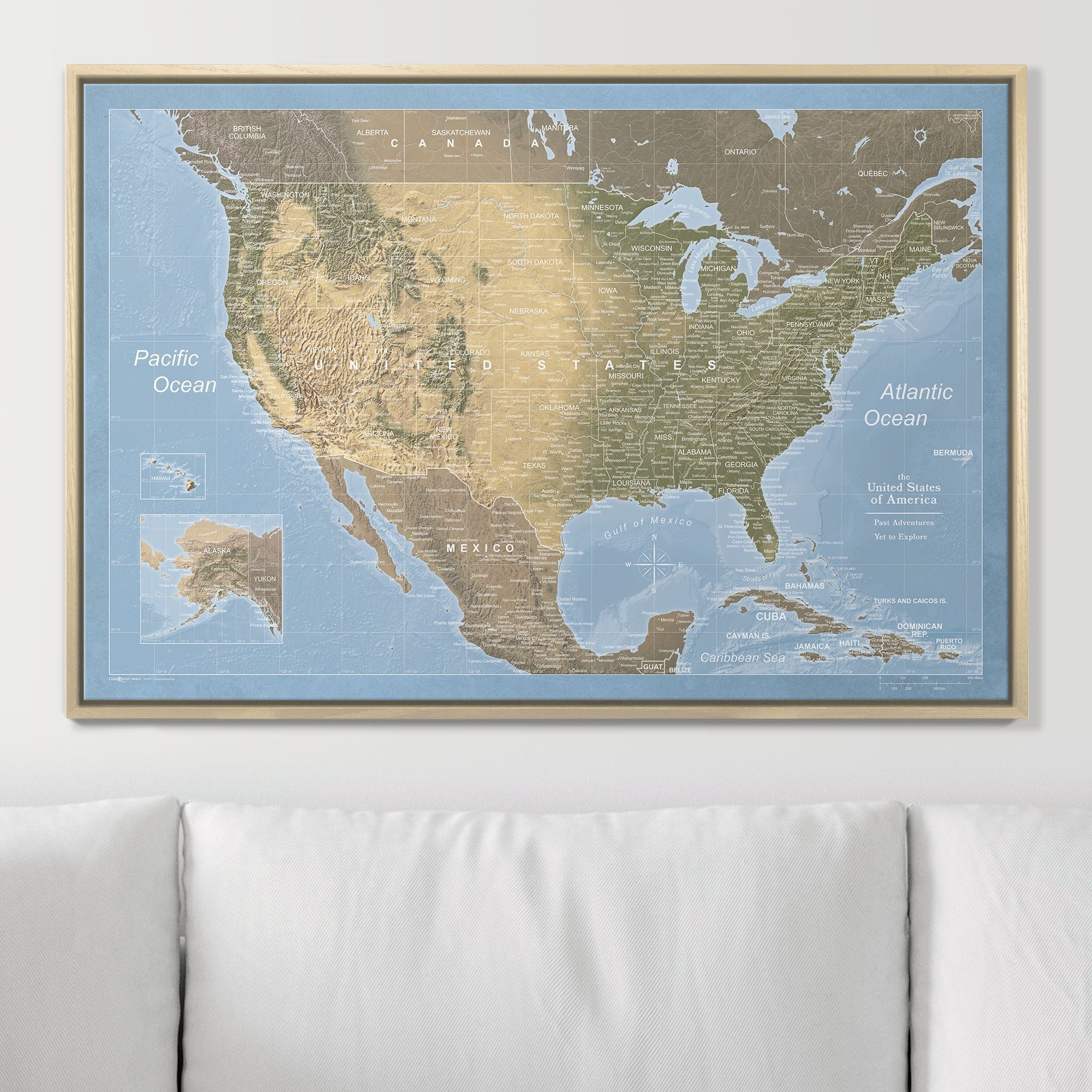 Push Pin USA Map Pin Board - Natural Earth - Pins Included! - Liberty Flag & Specialty