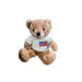 USA Teddy Bear - Liberty Flag & Specialty