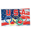 3' x 5' USA Olympic Nylon Flag - Liberty Flag & Specialty