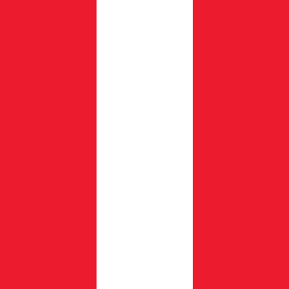 8' x 3' Tall Color Flags - Liberty Flag & Specialty