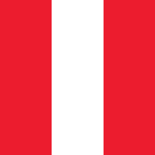 8' x 3' Tall Color Flags - Liberty Flag & Specialty