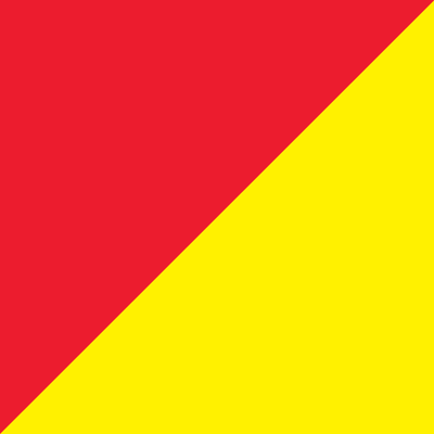 8' x 3' Tall Color Flags - Liberty Flag & Specialty