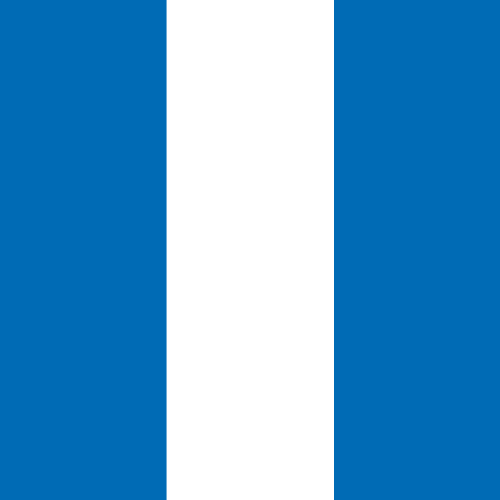 8' x 3' Tall Color Flags - Liberty Flag & Specialty