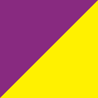 8' x 3' Tall Color Flags - Liberty Flag & Specialty