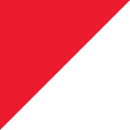 8' x 3' Tall Color Flags - Liberty Flag & Specialty