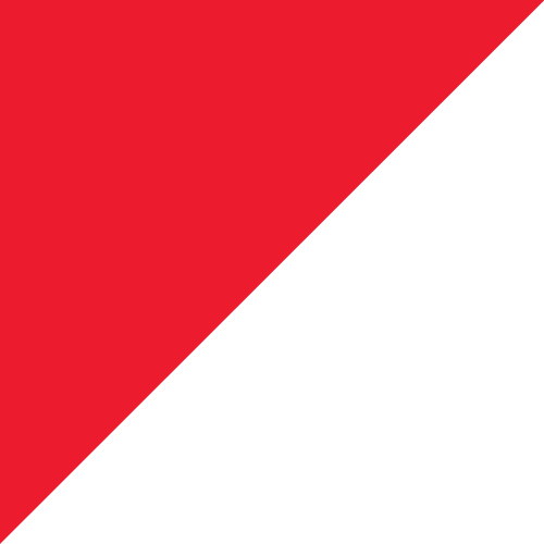 8' x 3' Tall Color Flags - Liberty Flag & Specialty