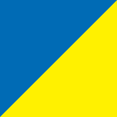 8' x 3' Tall Color Flags - Liberty Flag & Specialty