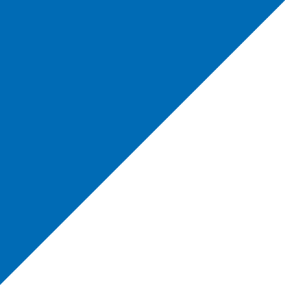 8' x 3' Tall Color Flags - Liberty Flag & Specialty