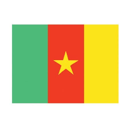 Cameroon Flag - Liberty Flag & Specialty