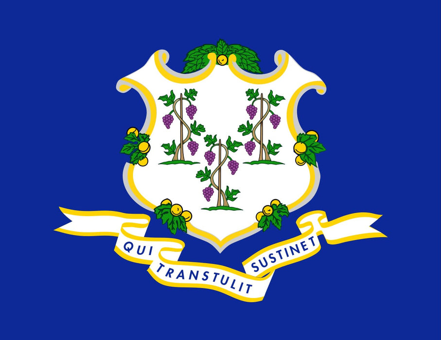 Connecticut State Flag - Liberty Flag & Specialty