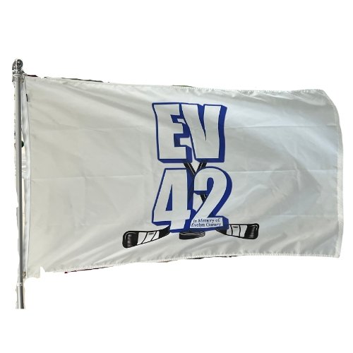 Evergreen EV Detroit Tigers Jersey Flag