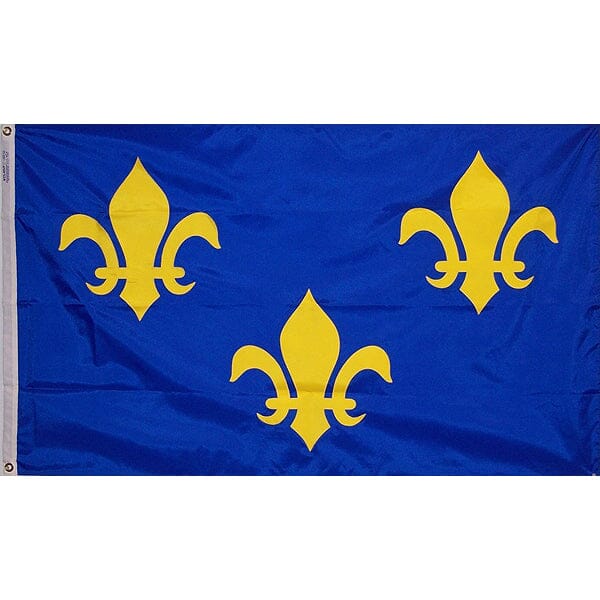 French Fleur-de-lis flag - Liberty Flag & Specialty