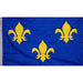French Fleur-de-lis flag - Liberty Flag & Specialty