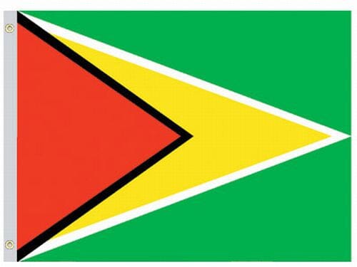 Guyana Flag - Liberty Flag & Specialty