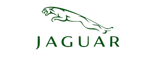 Jaguar - Liberty Flag & Specialty
