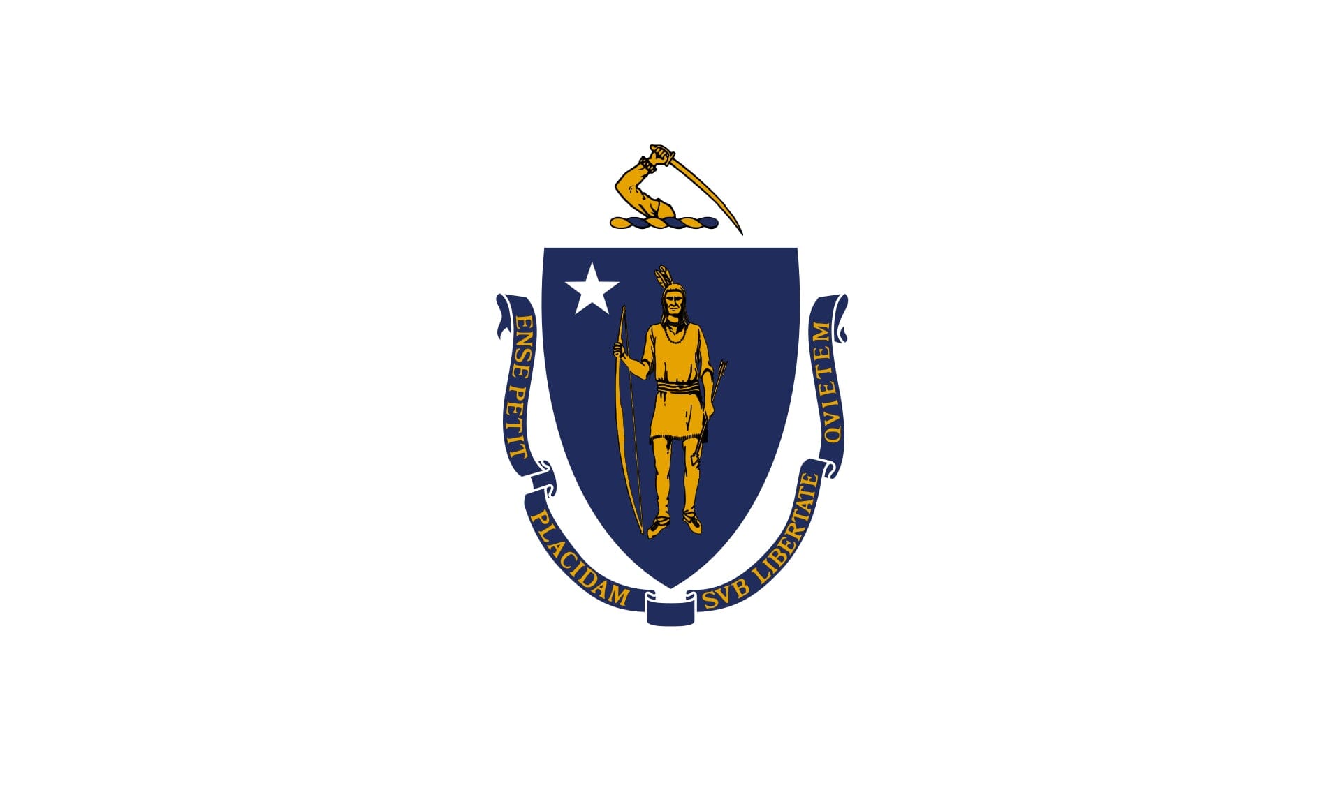 Massachusetts State Flag - Liberty Flag & Specialty