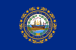 New Hampshire state flag - Liberty Flag & Specialty