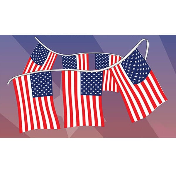 USA Plasticloth Pennants - Liberty Flag & Specialty