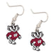 Wisconsin Badgers Earrings - Liberty Flag & Specialty